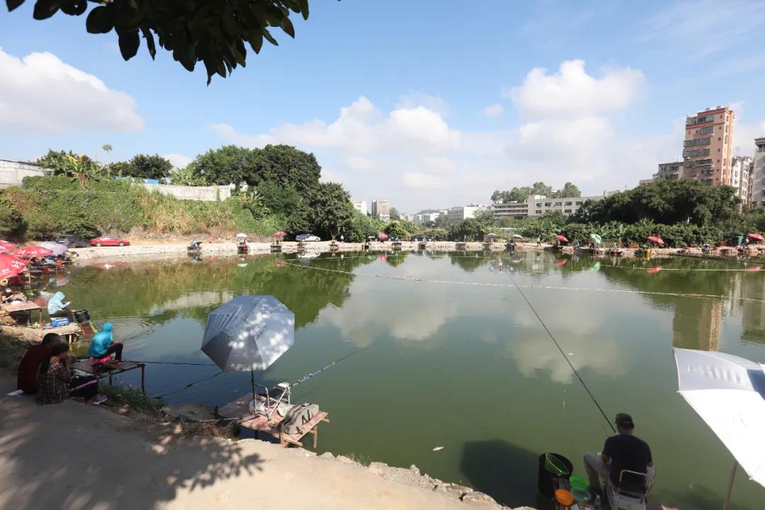 深圳园区PCEBG事业群工会特举办了“娱钓金秋”钓鱼大师赛